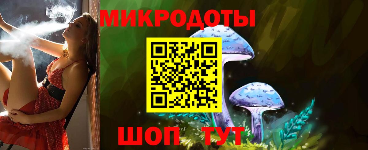 Псилоцибиновые грибы Psilocybine cubensis Лангепас